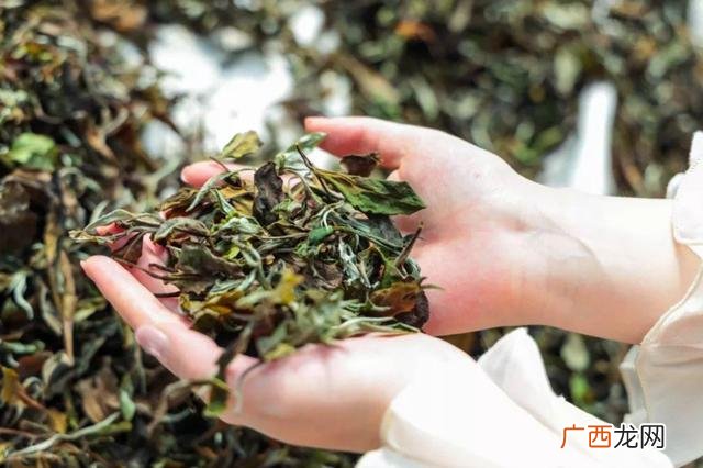滇青属于什么茶 张一凡茶叶