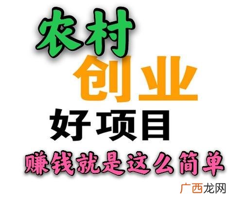 农村家庭加工创业项目 适合农村生产加工项目