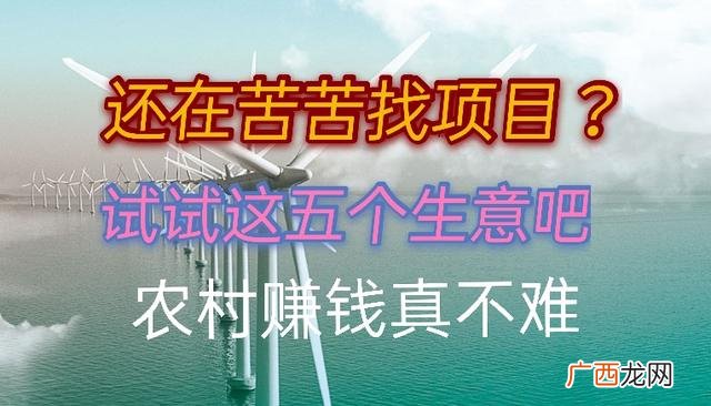 农村家庭加工创业项目 适合农村生产加工项目
