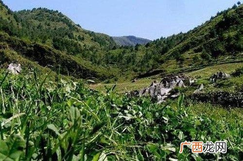 发改委项目立项审批流程,发改委项目立项备案