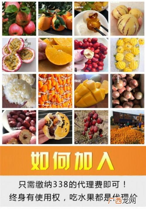 代理什么产品最赚钱 怎么代理一款产品