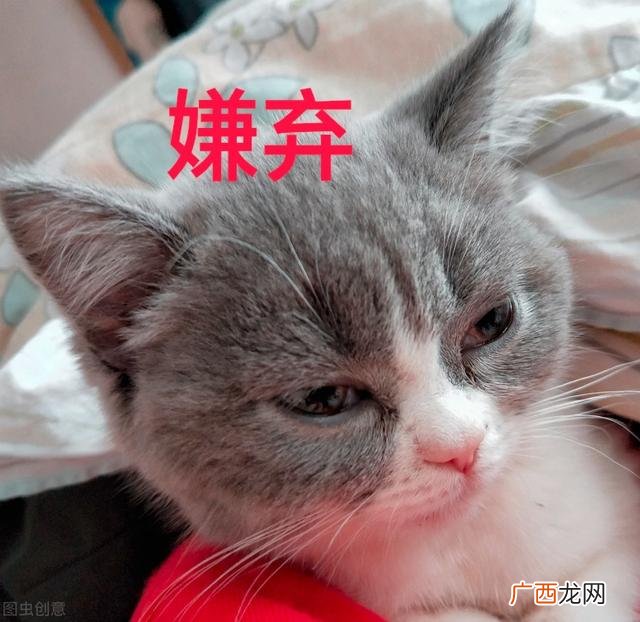 十大不起眼的赚钱行业,现在美容行业哪个项目最赚钱