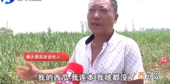 村民哄抢虾 大学生回乡养虾遭哄抢