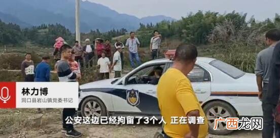 村民哄抢虾 大学生回乡养虾遭哄抢
