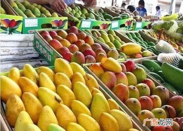 创业小项目,中国创业项目网