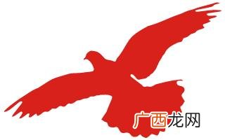 国彩团队赚钱是真的吗