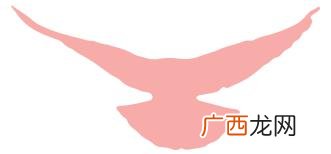 国彩团队赚钱是真的吗