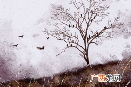 撩妹暖心套路情话大全短句