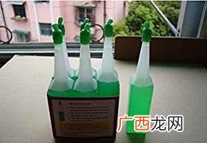 水培植物怎么养,水培植物创业