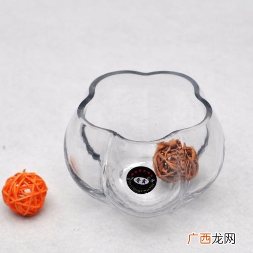 水培植物怎么养,水培植物创业