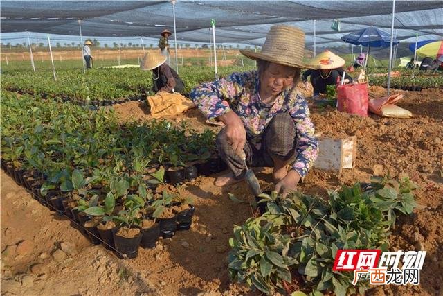 农民回乡创业找哪个部门,农民回乡创业图片