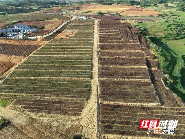 农民回乡创业找哪个部门,农民回乡创业图片