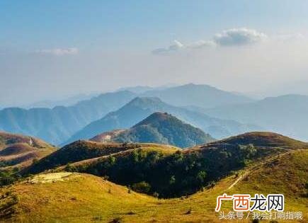 做梦梦到创业顺利 梦到自己艰难的创业