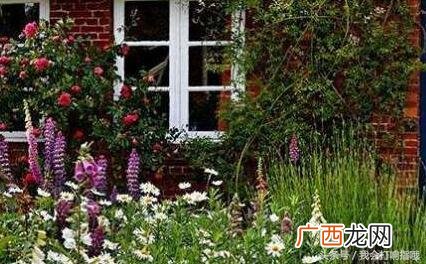做梦梦到创业顺利 梦到自己艰难的创业