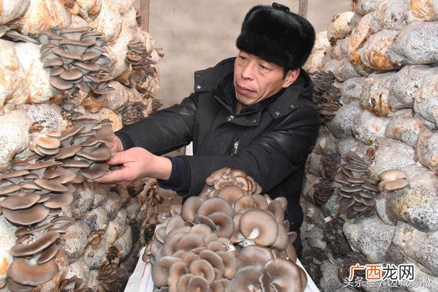 中越边贸生意啥最好做 黑河有哪些创业机会