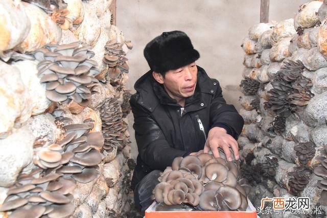 中越边贸生意啥最好做 黑河有哪些创业机会