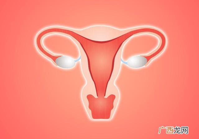正常内分泌六项报告单,女性内分泌激素六项检查