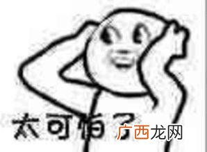 伏见桃山加盟费大概要多少,喜茶加盟费大概要多少