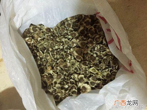 去非洲做生意需要多少钱,去非洲创业