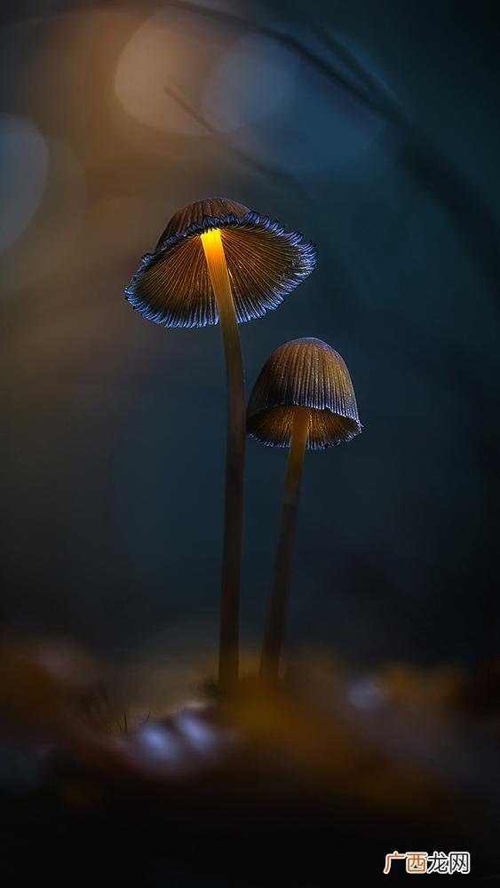 善良带点锋芒发朋友圈 摆正心态壁纸