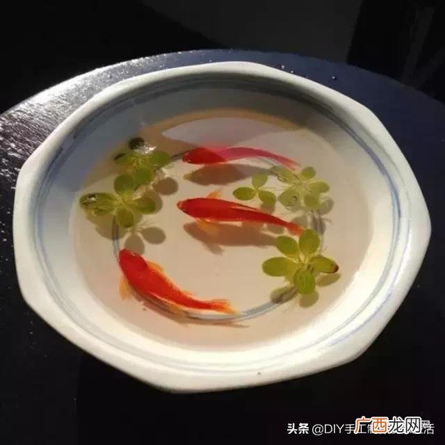 滴胶成品好卖吗,滴胶手工赚钱吗