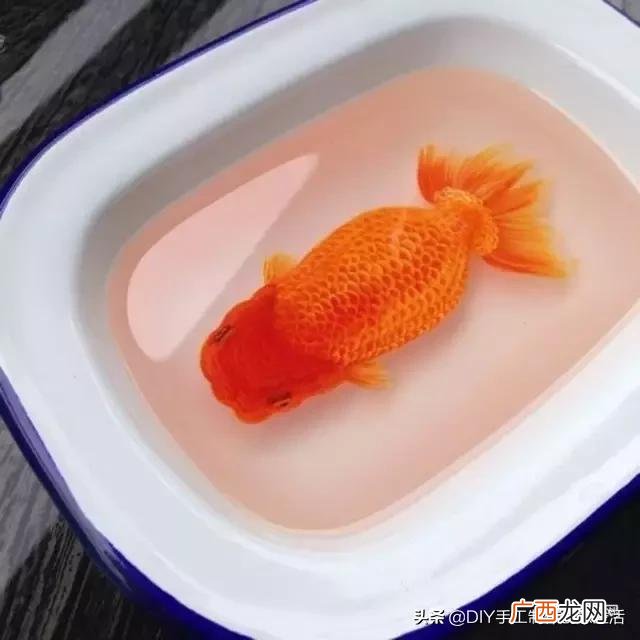 滴胶成品好卖吗,滴胶手工赚钱吗