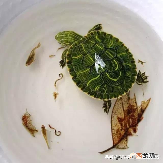 滴胶成品好卖吗,滴胶手工赚钱吗