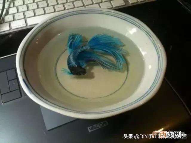 滴胶成品好卖吗,滴胶手工赚钱吗