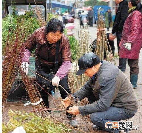 小孩摆地摊卖什么东西最好,什么东西最好卖 地摊