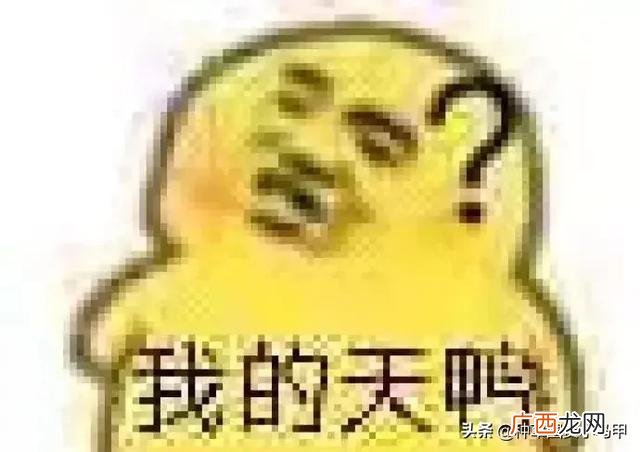 syb民宿创业计划书模板,民宿创新创业计划书模板