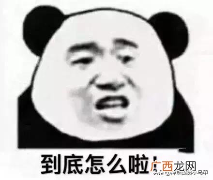 syb民宿创业计划书模板,民宿创新创业计划书模板