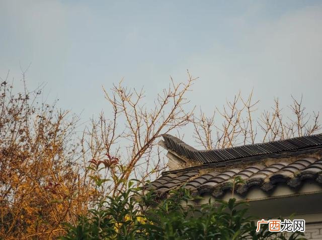 古语豪情壮语诗 创业豪情