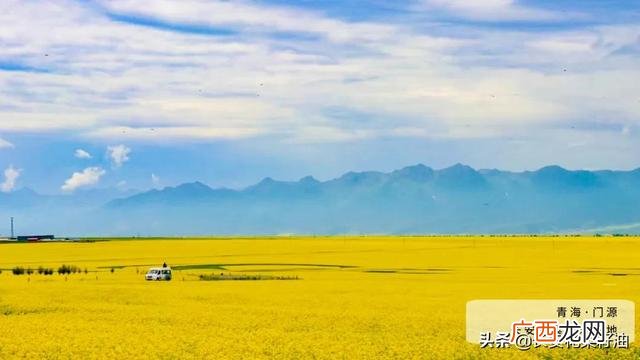 小作坊榨菜籽油安全吗 私人作坊榨油安全吗