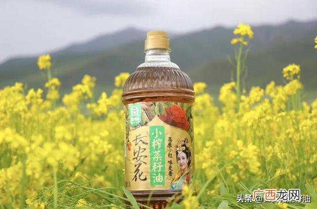 小作坊榨菜籽油安全吗 私人作坊榨油安全吗