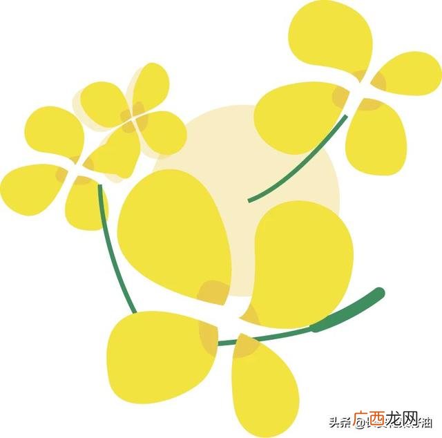 小作坊榨菜籽油安全吗 私人作坊榨油安全吗