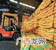 尿素多少钱一吨今天,车用尿素一吨多少钱