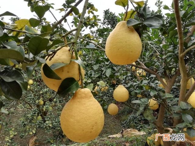 忙碌的生活很充实的说说 忙碌的创业者