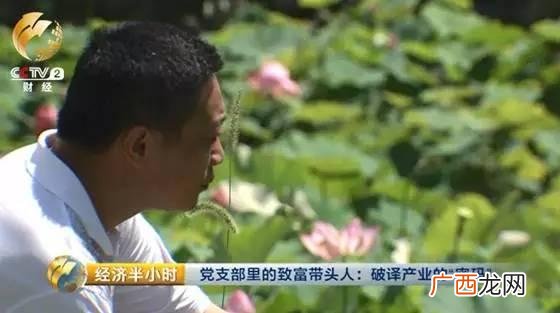 创业王秘籍 创业王工业树