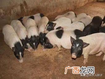 新手开店适合开什么店,农村创业好项目有哪些