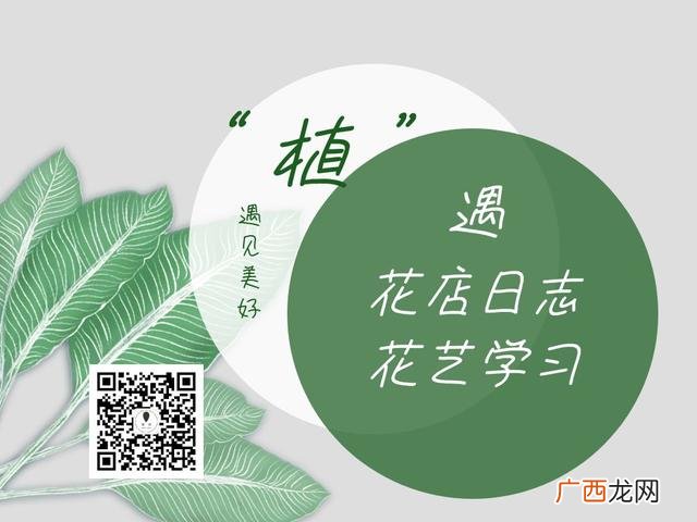 创业花店项目计划书,syb创业计划书花店完整版