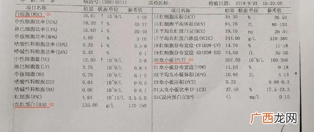 正常血色素指标是多少,这两个项目指标高什么问题,严重吗!-