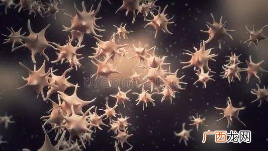 正常血色素指标是多少,这两个项目指标高什么问题,严重吗!-