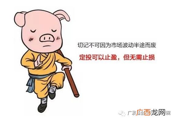 怎样投资基金,初学者如何投资基金定投