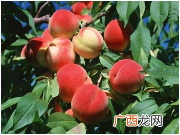初中生创业可以从哪方面入手,初中学历怎么创业
