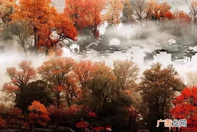 布衣传说电商创业园,婺源电商创业园
