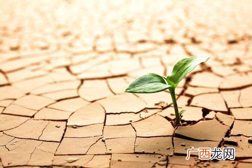 创业没资金怎么找投资,没有资金如何创业