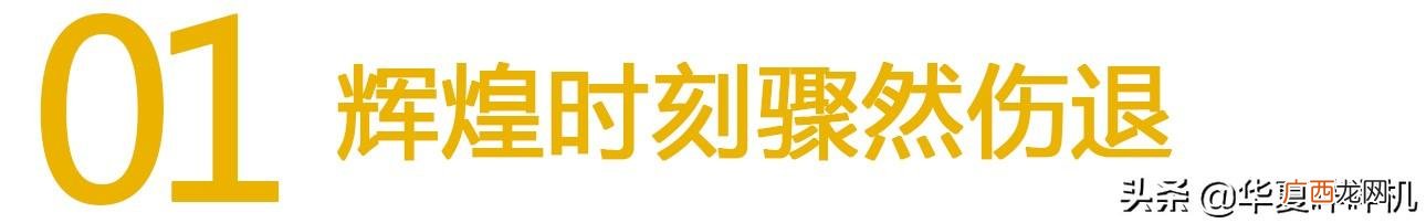 张尚武的教练,张尚武老婆