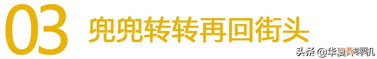 张尚武的教练,张尚武老婆
