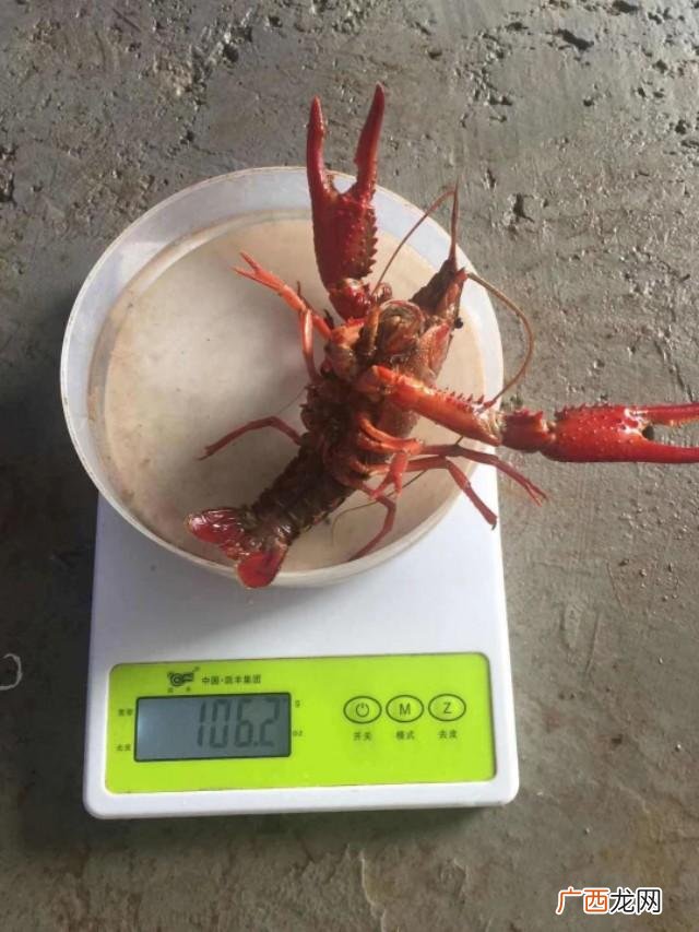 水产养殖创业计划书范文,渔业创新创业计划书