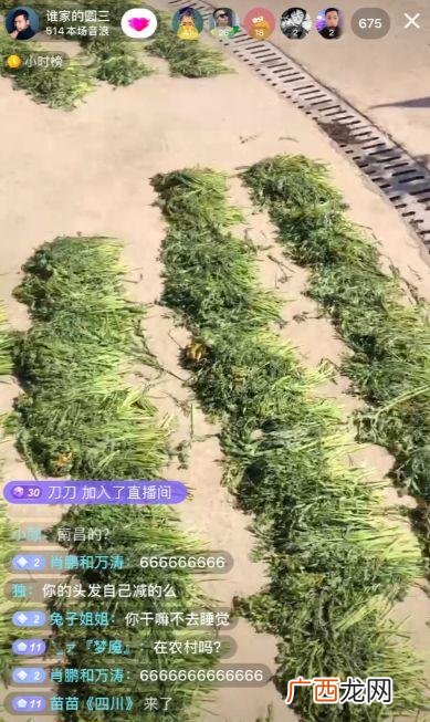 怎么成为网红赚钱 躺着赚钱下载